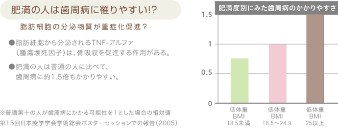 肥満の人は歯周病に罹りやすい！？