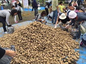 収穫祭①の1.jpg